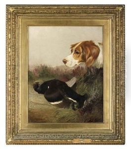 A Gundog Retreiving