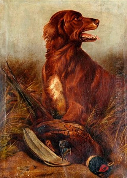 Red Setter With A Pheasant - view 1