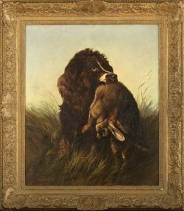 Hunting Spaniel And Hare by Colin Graeme