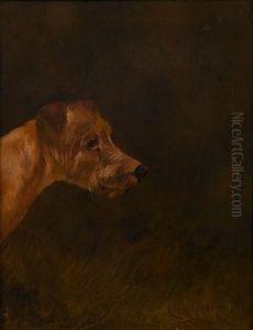 Irish Terrier by Colin Graeme