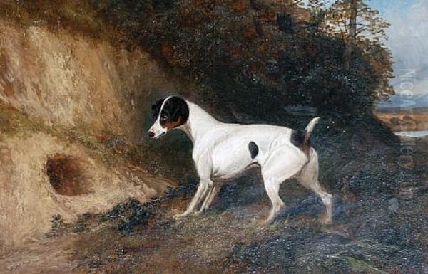The Patient Terrier - view 1