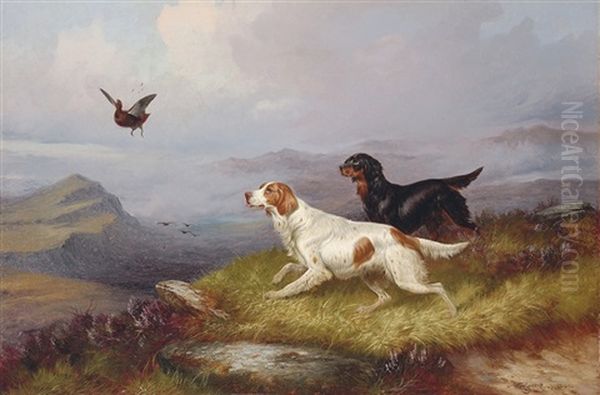 Setters Putting Up A Grouse - view 1