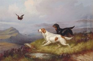 Setters Putting Up A Grouse Setters Putting Up A Grouse