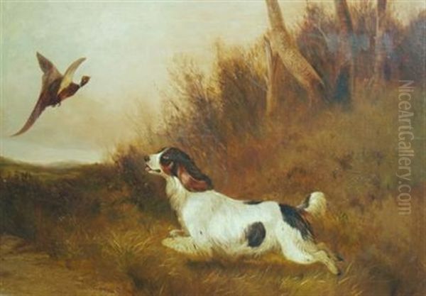 Spaniel Flushing Pheasant - view 1