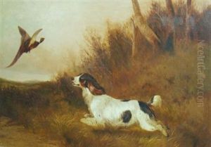 Spaniel Flushing Pheasant by Colin Graeme