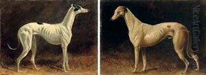 A Black And White Whippet (+ A Brown And White Whippet; Pair) by Colin Graeme