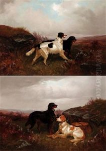 A Gordon And An English Setter In The Scottish Highlands (pair) by Colin Graeme