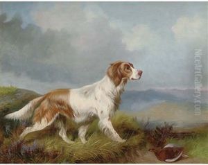 A Setter Retrieving A Grouse, In An Extensive Landscape
