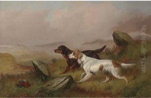 Setters On A Grouse Moor