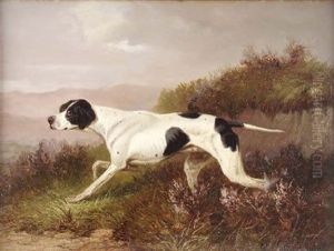 Study Of A Pointer In Heather (+ A Setter; Pair)