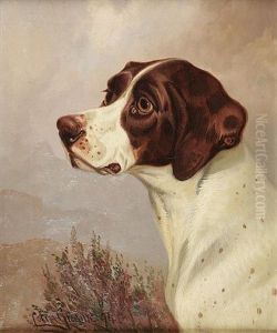 Pointer Head Study