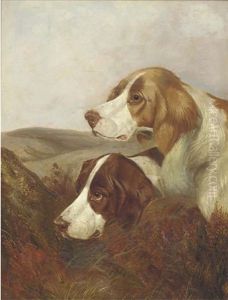A Brace Of Pointers by Colin Graeme