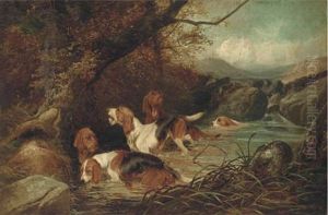 Otter Hounds by Colin Graeme