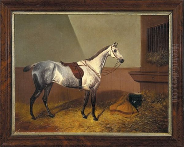 Gray Horse Feeding - view 1