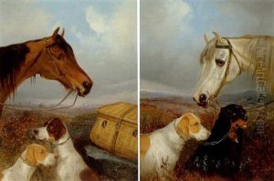 A Head Study Of A Grey Game Pony (+ A Head Study Of A Bay Game Pony With Pointers And A Game Basket; Pair) by Colin Graeme