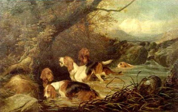 Otterhounds On The Scent - view 1