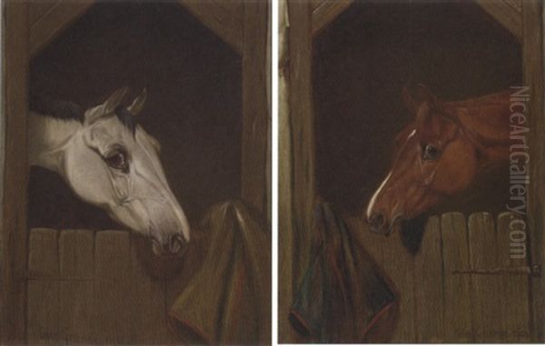 A Grey At A Stable Door - view 1