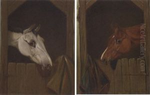 A Grey At A Stable Door by Colin Graeme