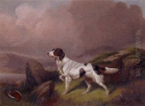 A Setter In A Moorland Landscape by Colin Graeme
