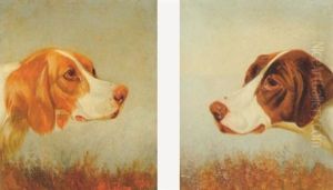 A Head Study Of An English Setter by Colin Graeme