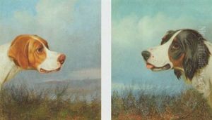 A Head Study Of A Setter by Colin Graeme