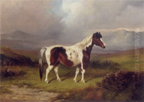 "gypsy" - view 1