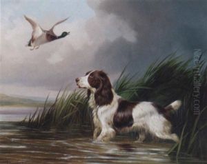 A Spaniel Putting A Mallard Up by Colin Graeme
