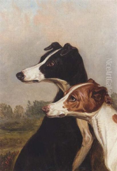 Head Studies Of Dogs - view 1