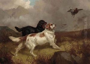Setters Flushing Out Grouse