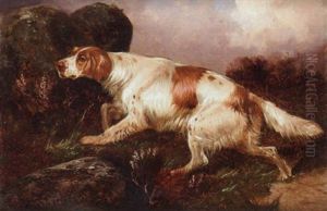 A Setter Working A Setter Working