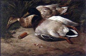 A Pair Of Dead Mallard Ducks