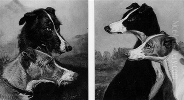 Deer Hounds - view 1
