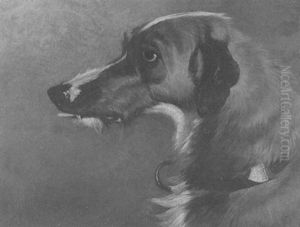 A Deerhound by Colin Graeme