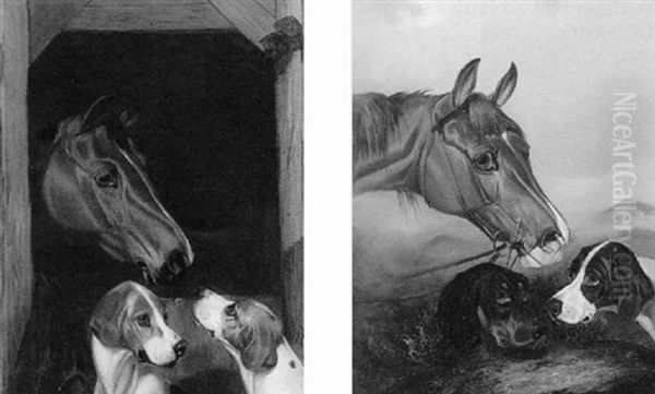 Stable Companions - view 1