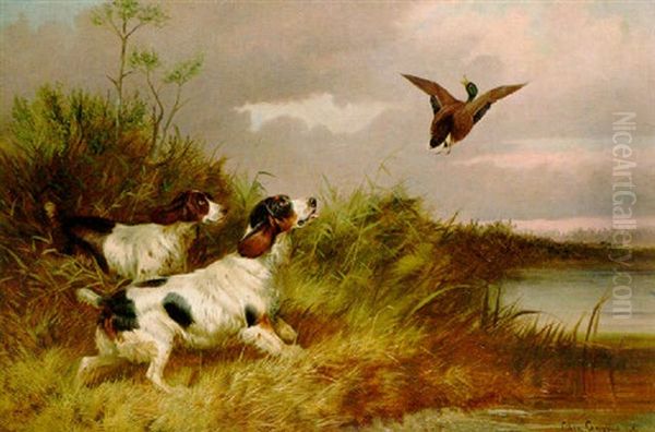 Spaniel Flushing Duck - view 1