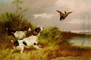 Spaniel Flushing Duck by Colin Graeme