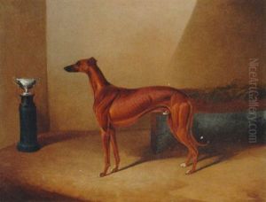 A Champion Greyhound Standing Before His Trophy A Champion Greyhound Standing Before His Trophy