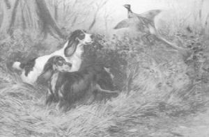 Two Setters Flushing A Pheasant by Colin Graeme
