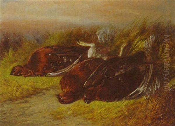 Grouse In A Highland Landscape - view 1