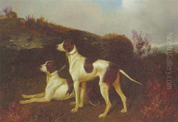 Pointers In A Highland Landscape - view 1