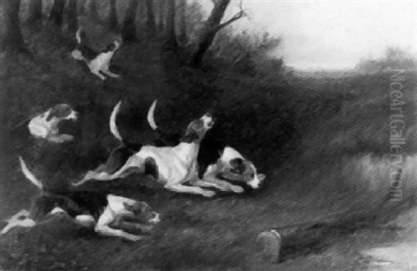 Out Of The Woods - view 1
