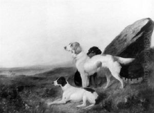 Two Welsh Springer Spaniels And A German Shorthaired Pointer by Colin Graeme