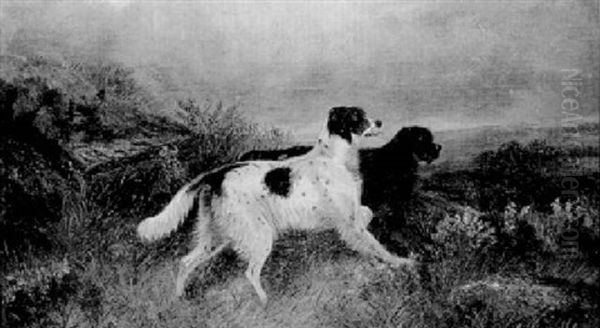 On The Moors - view 1