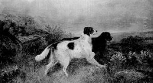 On The Moors
