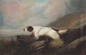 A Setter In A Landscape A Setter In A Landscape
