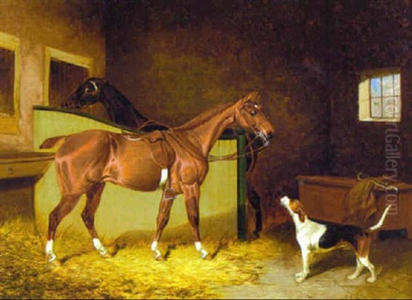 Two Bay Hunters With A Foxhound In A Stable - view 1