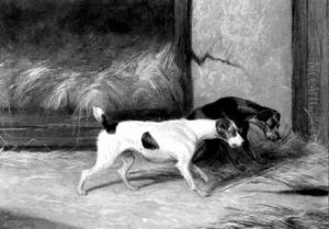 Waiting And Watching