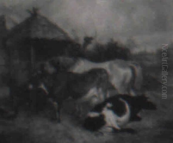 Cows Resting In A Farmyard - view 1