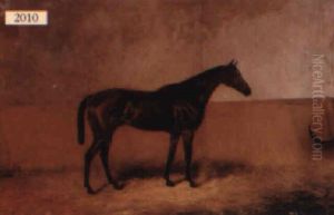Horse Facing Right In Its Stall by Colin Graeme