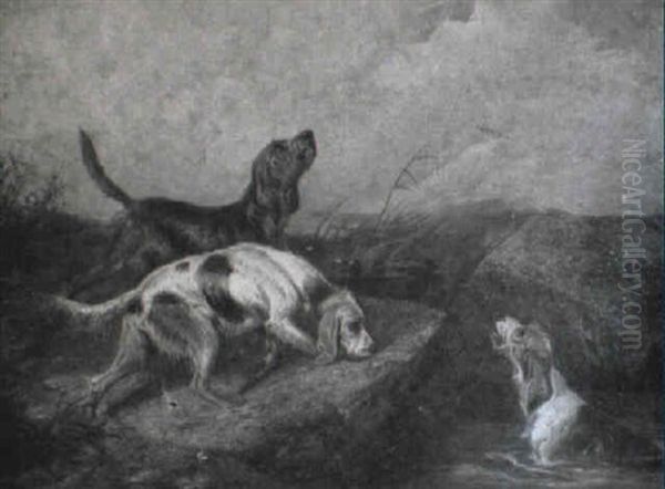 Otter Hounds - view 1